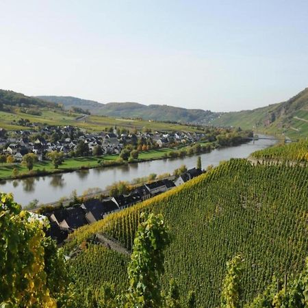 Sch Ne Wohnung In Der Moselregion Kinheim Bagian luar foto