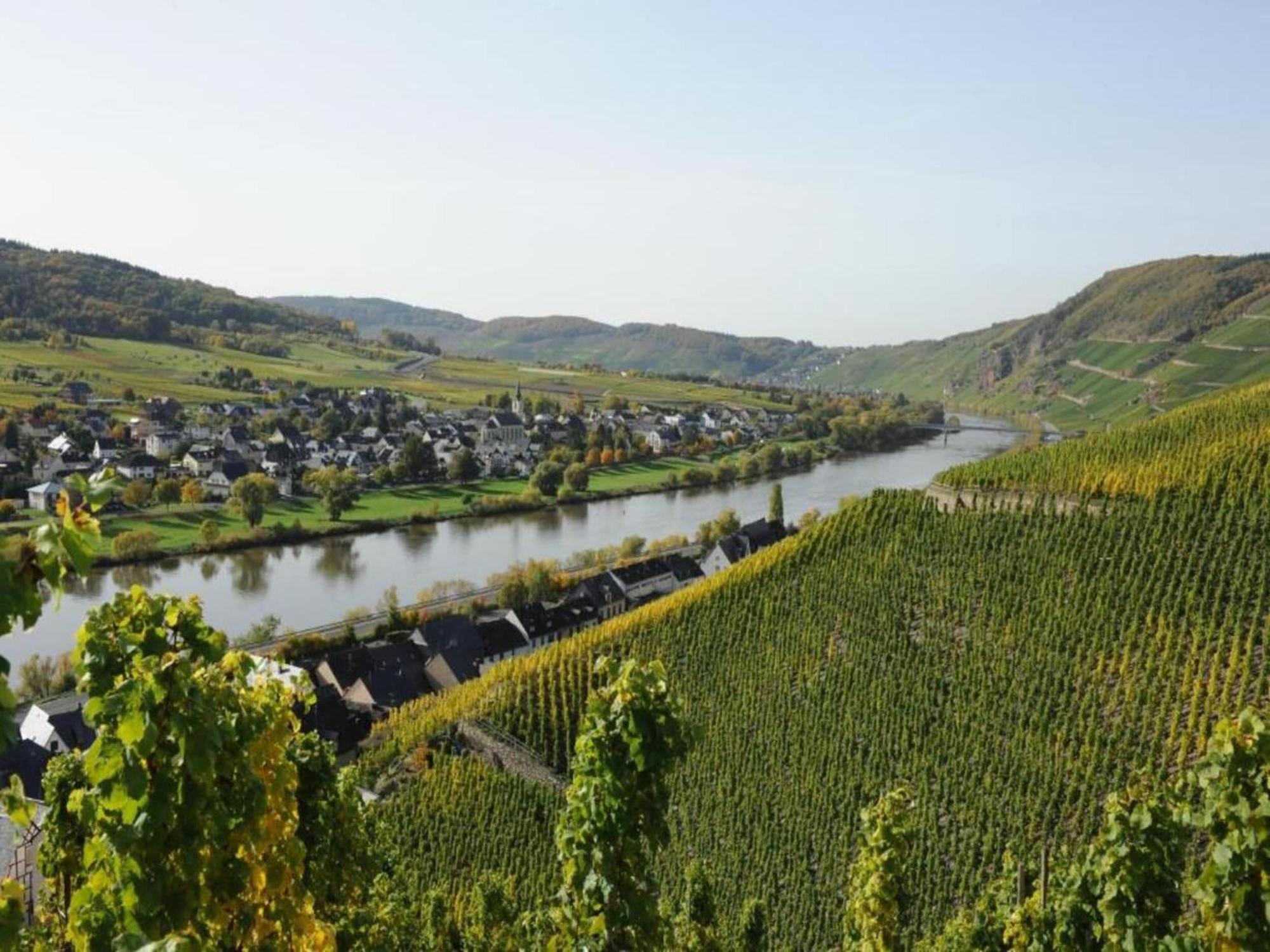 Sch Ne Wohnung In Der Moselregion Kinheim Bagian luar foto