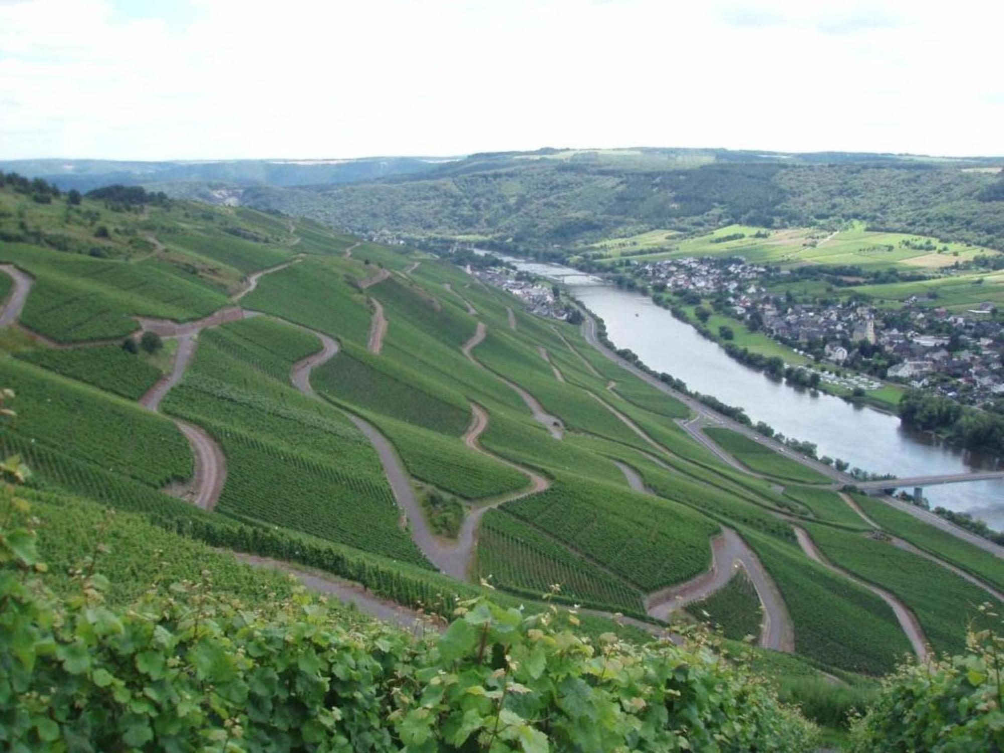 Sch Ne Wohnung In Der Moselregion Kinheim Bagian luar foto