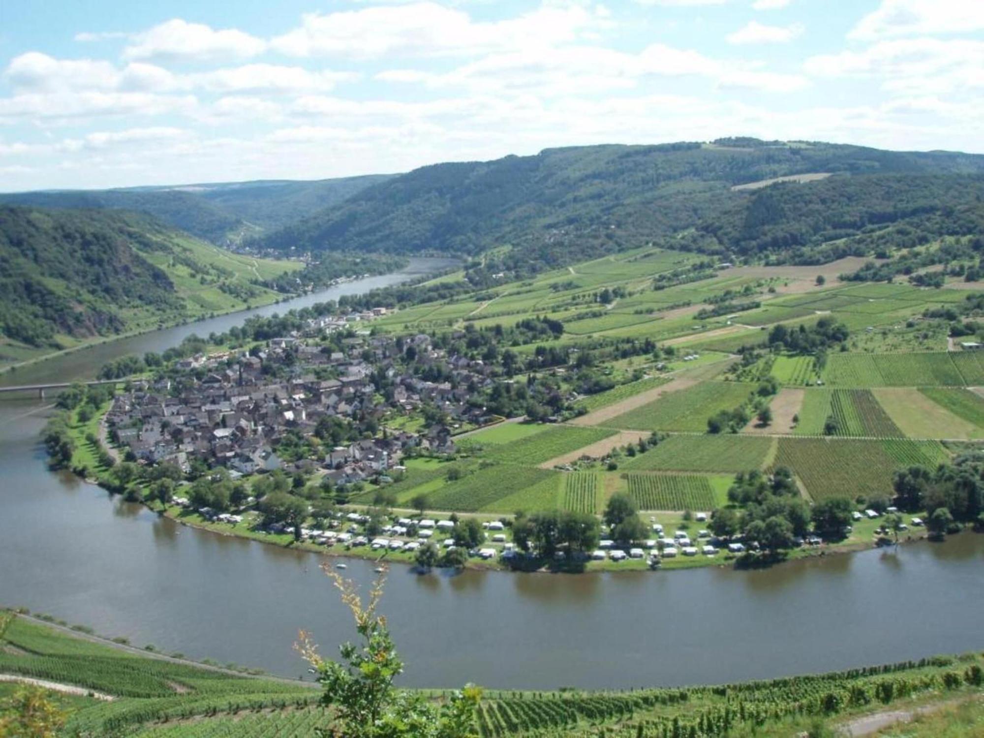 Sch Ne Wohnung In Der Moselregion Kinheim Bagian luar foto