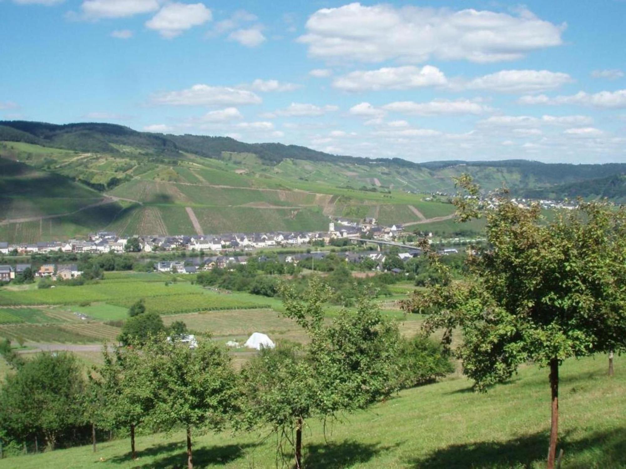 Sch Ne Wohnung In Der Moselregion Kinheim Bagian luar foto