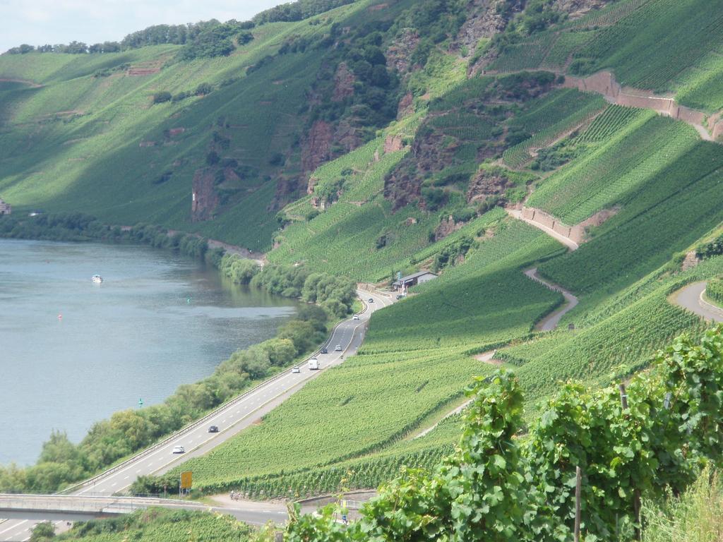 Sch Ne Wohnung In Der Moselregion Kinheim Bagian luar foto