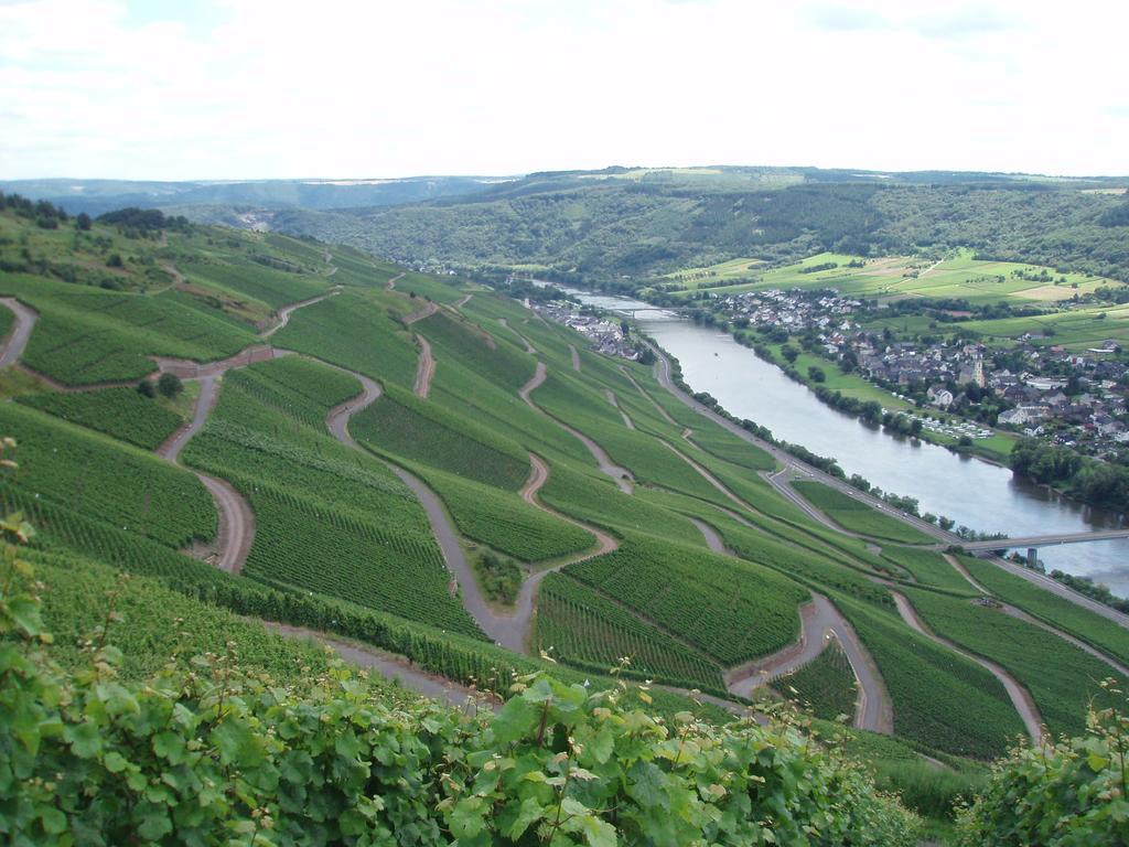 Sch Ne Wohnung In Der Moselregion Kinheim Bagian luar foto