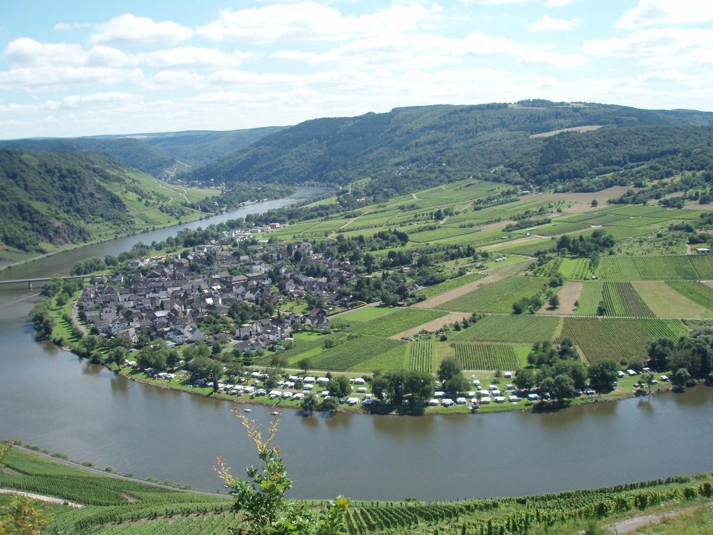 Sch Ne Wohnung In Der Moselregion Kinheim Bagian luar foto
